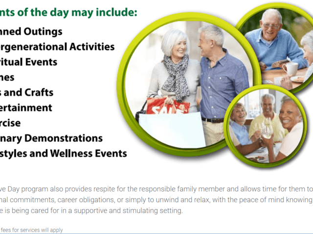 LODGE AT ASPEN VILLAGE (THE)